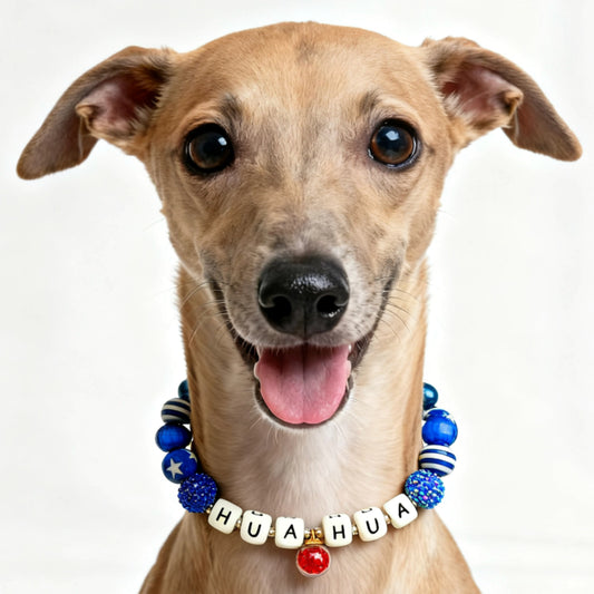 🌊 Ocean Star | Handmade Pet Collars | Custom & Safe Pet Accessories.