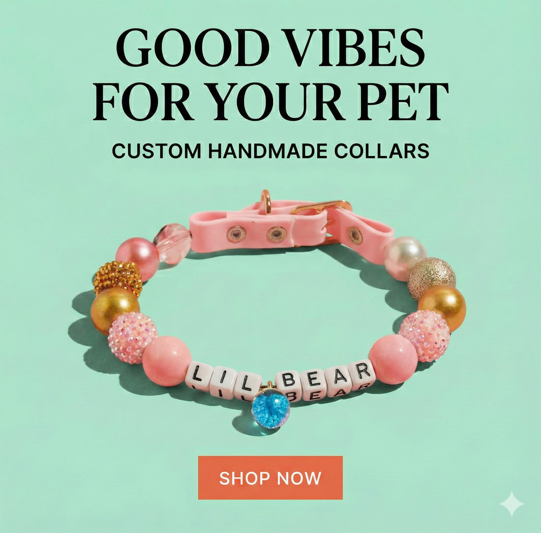 Personalized Dog Collar: Pawsitive-Glow Adjustable ID Band