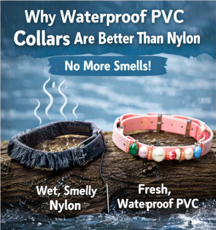Why Waterproof PVC Dog Collars Are Better Than Nylon (No More Smells!)