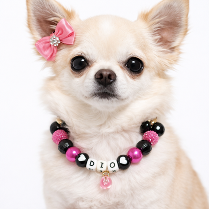 💗 Heartbeat Nior · Earth Personalized Name Collar.