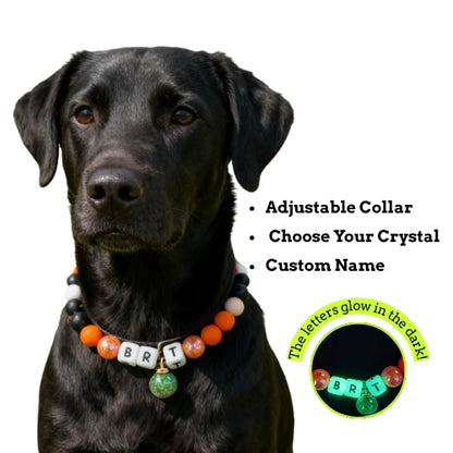 🧡 Sunny Sprint | Orange Personalized Name Collar.