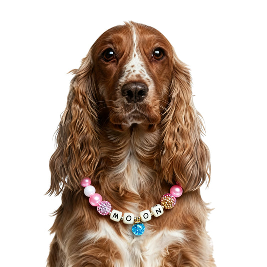 🌙 Moon Glow | Handmade Pet Collars | Custom & Safe Pet Accessories.