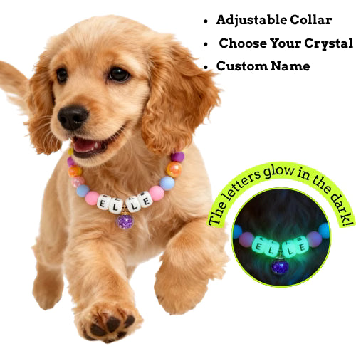 🌸 Petal Pop · Pastel Personalized Name Collar.