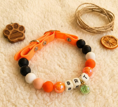 🧡 Sunny Sprint | Orange Personalized Name Collar.