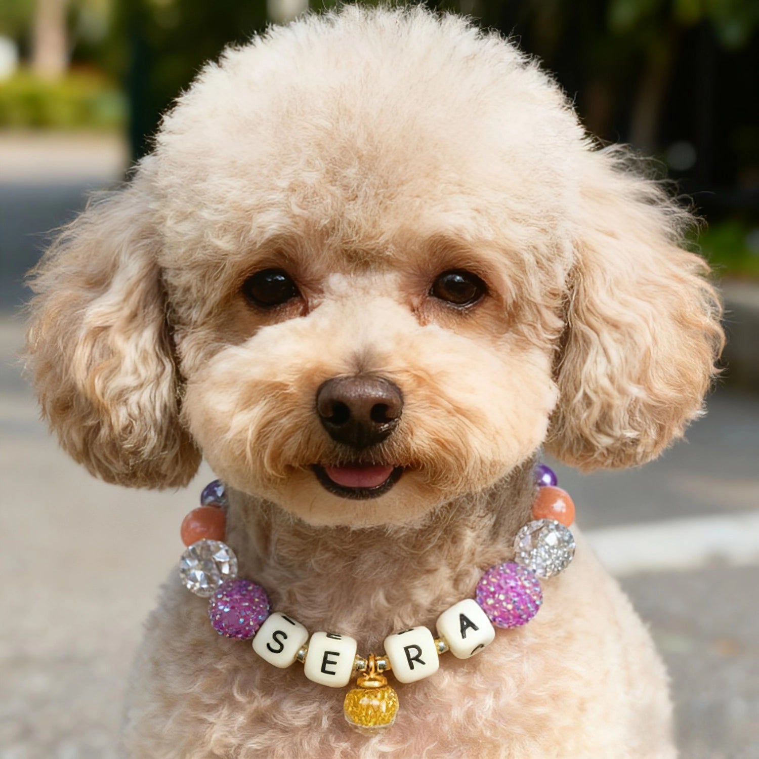 ✨ Starlight Bloom | Handmade Pet Collars | Custom & Safe Pet Accessories.