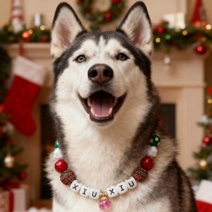 🎄 Jolly Bells · Christmas Personalized Name Collar.