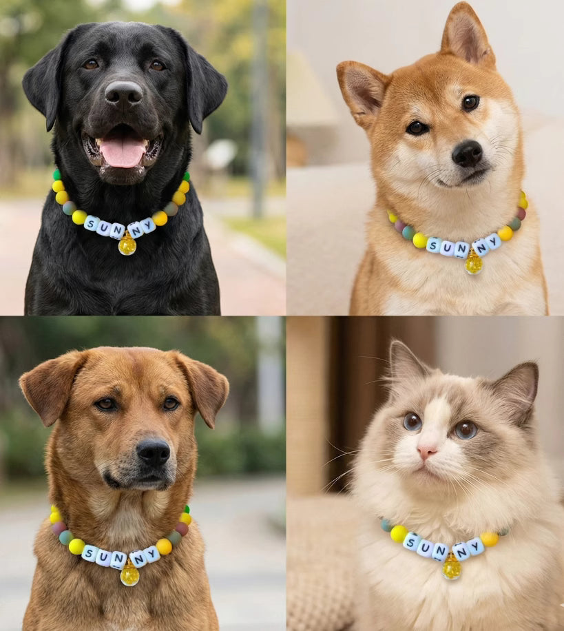 🌻 Sun Meadow · Nature Personalized Name Collar.