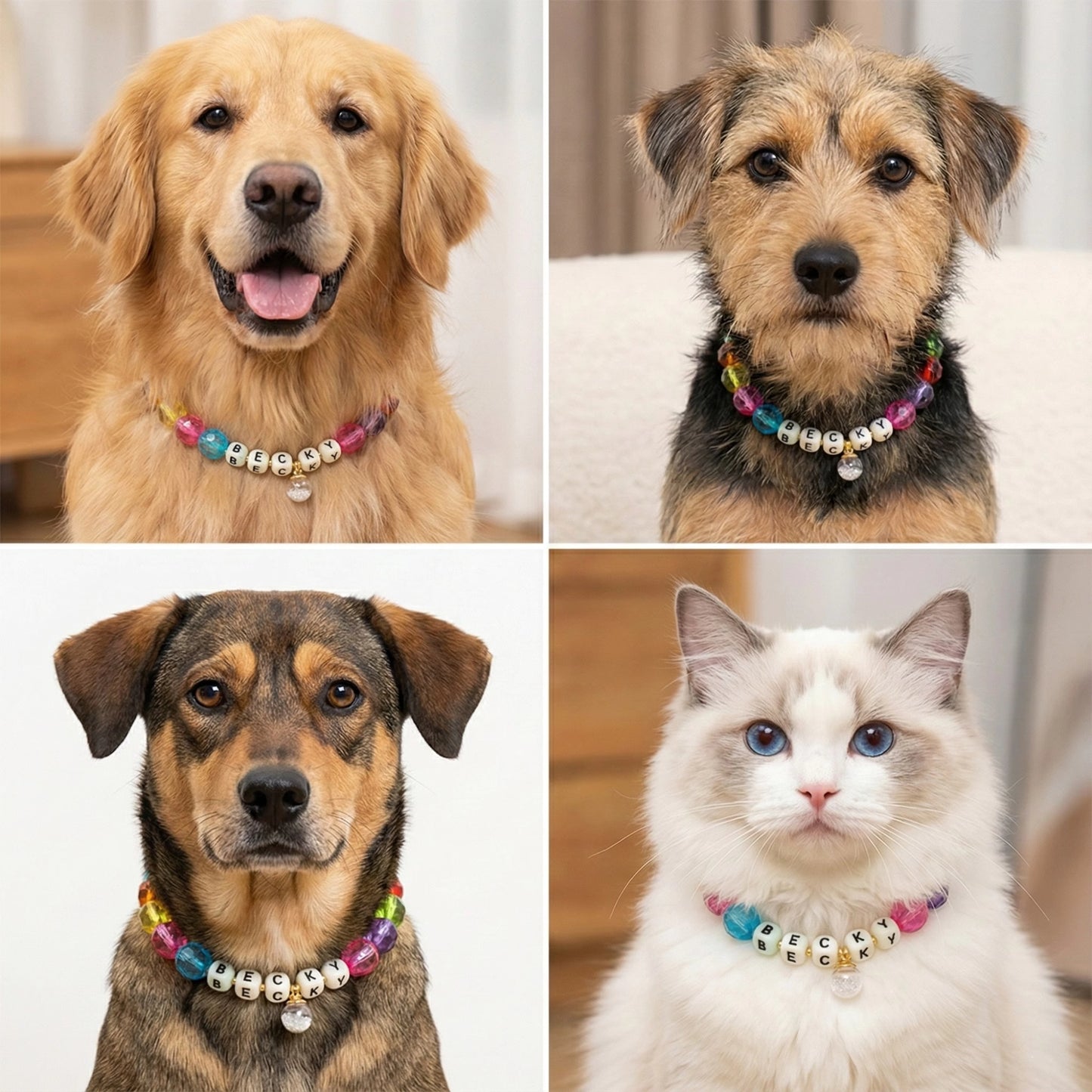 🌿 Olive Calm · Earth Personalized Name Collar.