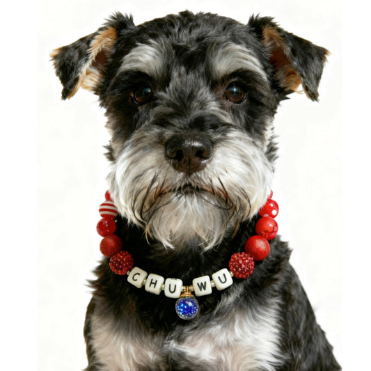 ❤️ Ruby Joy| Handmade Pet Collars | Custom & Safe Pet Accessories.
