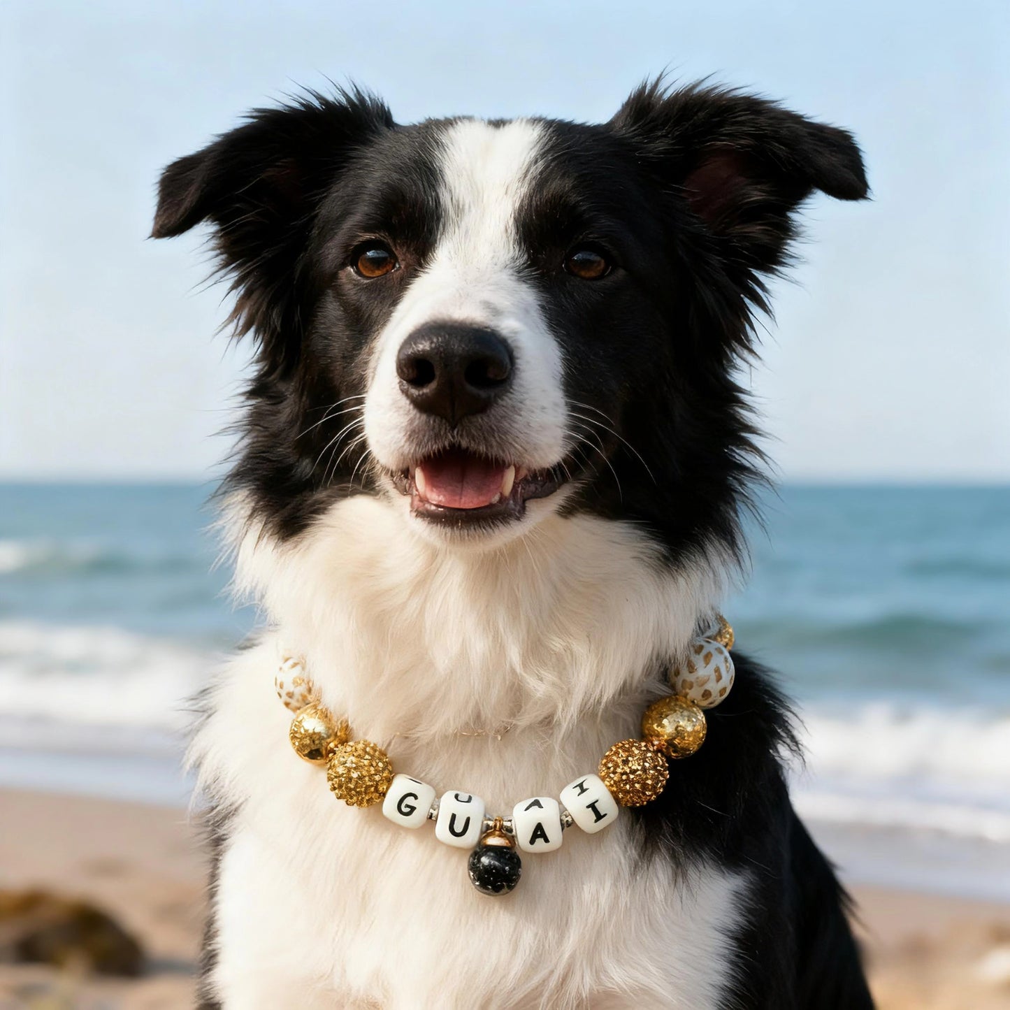 🖤 Noir Gold | Handmade Pet Collars | Custom & Safe Pet Accessories.