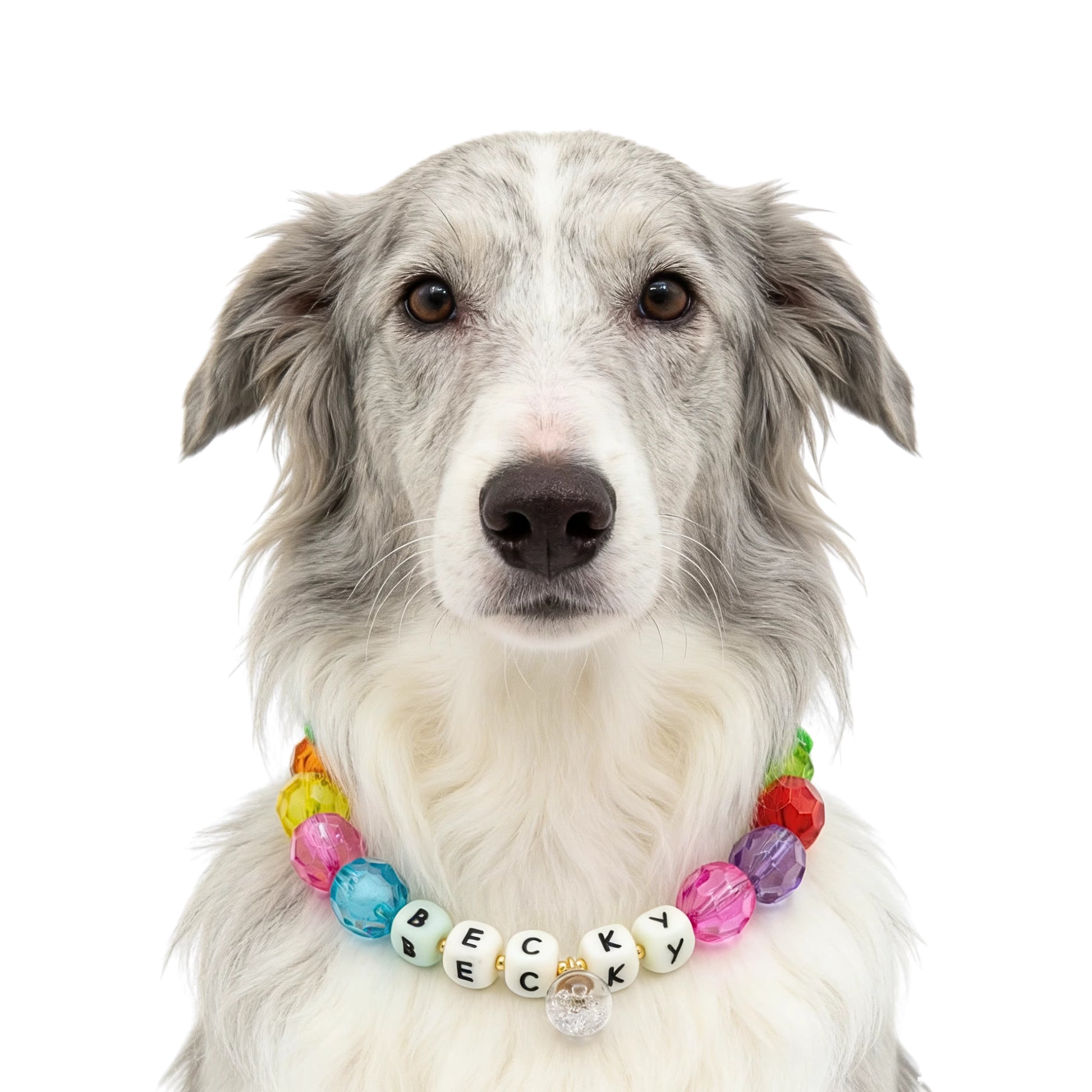 🌿 Olive Calm · Earth Personalized Name Collar.