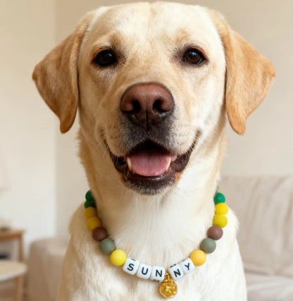 🌻 Sun Meadow · Nature Personalized Name Collar.