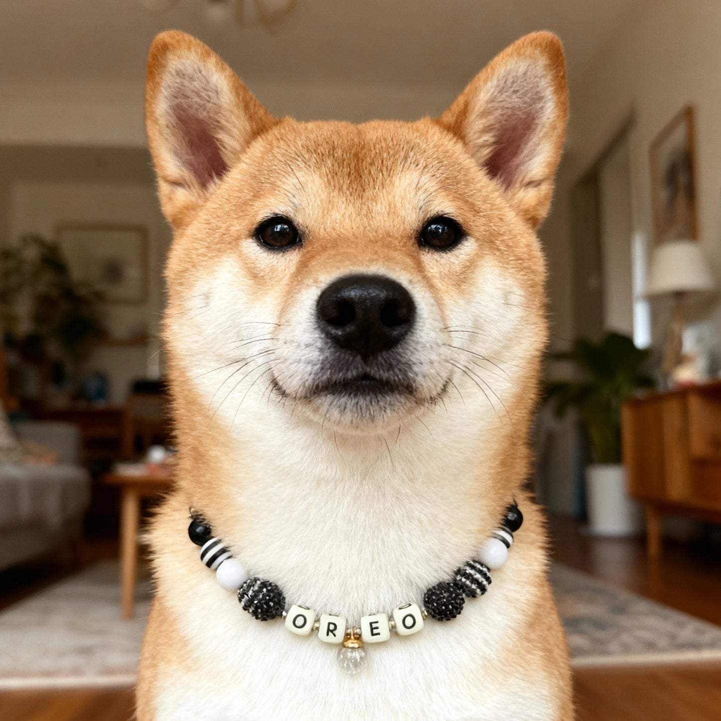 🖤 Midnight Chic | Handmade Pet Collars | Custom & Safe Pet Accessories.