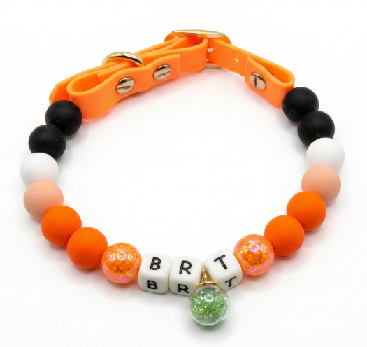 🧡 Sunny Sprint | Orange Personalized Name Collar.