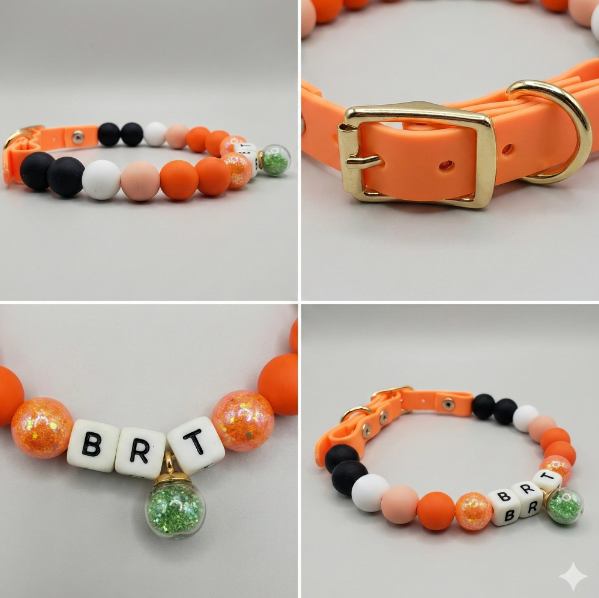 🧡 Sunny Sprint | Orange Personalized Name Collar.