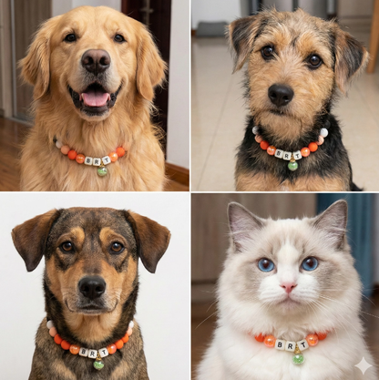 🧡 Sunny Sprint | Orange Personalized Name Collar.