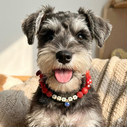 ❤️ Ruby Joy| Handmade Pet Collars | Custom & Safe Pet Accessories.